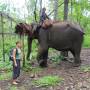 Cambodge - 