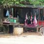 Cambodge - 