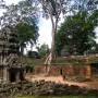 Cambodge - TA PROHM