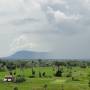 Cambodge - Colline du Bokor