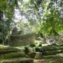 Cambodge -  Preah Khan