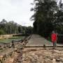 Cambodge - Terrasse des Elephants