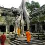 Cambodge - Ta Prohm