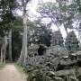 Cambodge - Ta Prohm