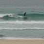 Australie - Bondi Beach