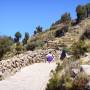 Pérou - Le lac Titicaca