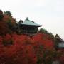 Japon - En plein Automne !