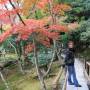 Japon - Dans un jardin