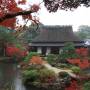 Japon - Jardin Isui-en