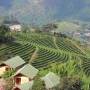 Thaïlande - 