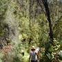Australie - 
