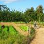 Laos - 