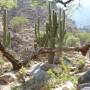 Argentine - Une vallée très très jolie...