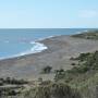 Argentine - Colonnie entiere de lions de mer