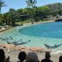 Australie - Sea World