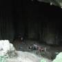 Malaisie - Immersion dans la jungle, terrible jungle...