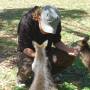 Australie - 