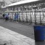 Inde - 