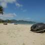 Viêt Nam - Alentours de Nha Trang