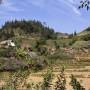 Viêt Nam - Bac Ha, dans les montagnes du nord