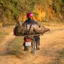 Viêt Nam - Bac Ha, dans les montagnes du nord