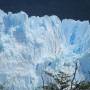 Argentine - 