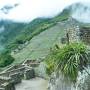 Pérou - Machu picchu