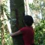 Guatemala - 