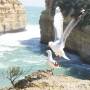 Australie - n