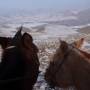 Mongolie - la steppe , la steppe , toujours la steppe