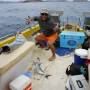 Australie - Et 1 poisson...