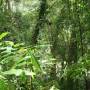 Australie - 