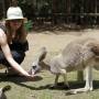 Australie - Sunshine Highway