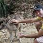 Australie - Sunshine Highway