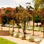 Bolivie - 