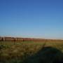 Australie - 