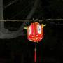 Viêt Nam - Lampion a Hanoi