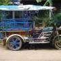 Thaïlande - Ici tout est different : tuc-tuc, camions, boeufs...