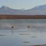Bolivie - 