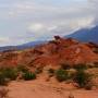 Argentine - 