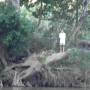Thaïlande - 