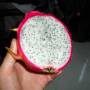 Viêt Nam - Dragon fruit: c blanc et noir a l interieur mmmmmmmhhhhh