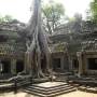 Cambodge - le Ta Prohm ou la puissance de la jungle