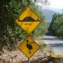 Australie - De la rainforest  à l