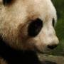 Chine - 
