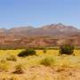 Argentine - 