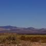 Argentine - 