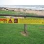 Australie - Crocos