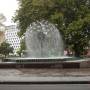 Australie - une fontaine a arbre, ou un arbre a fontaine