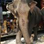 Thaïlande - 